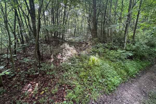 Trail 52