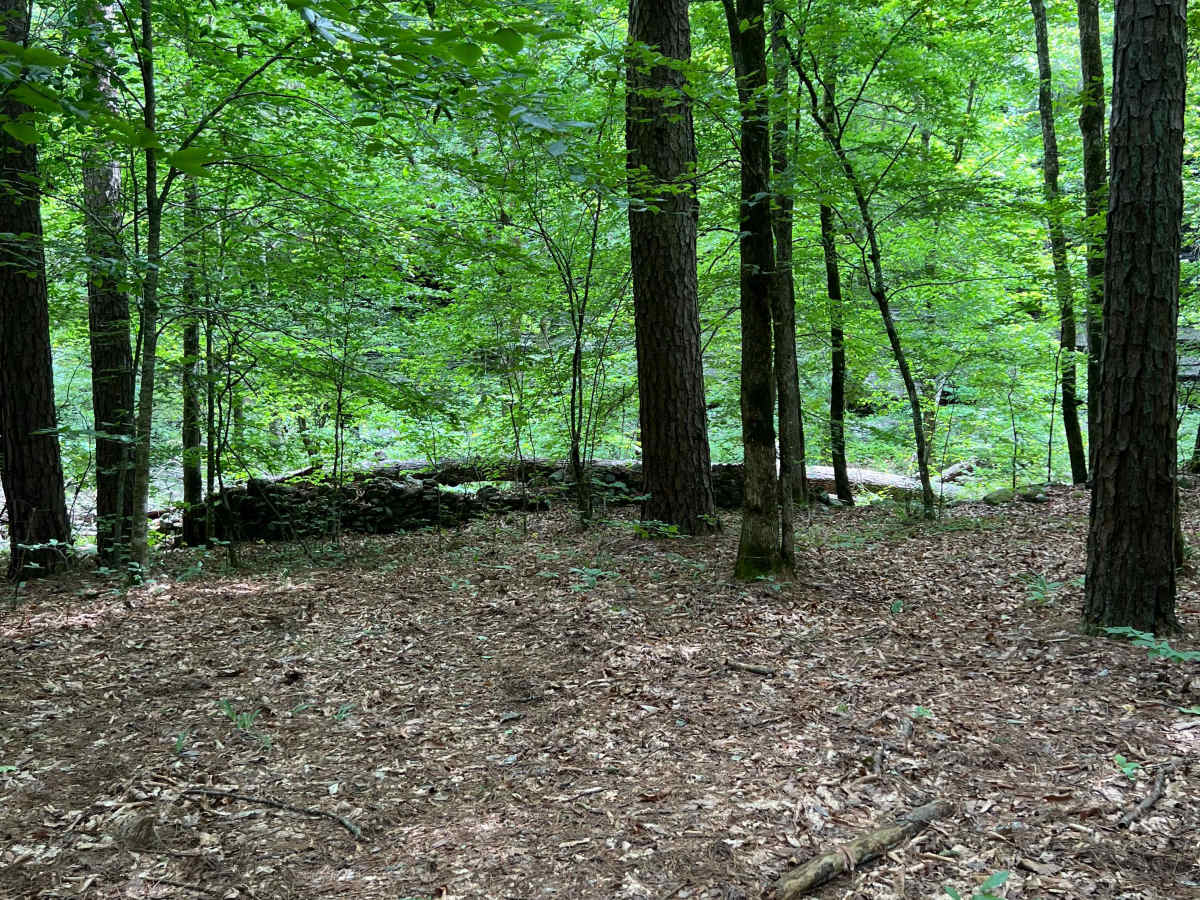 Murray creek photo 4