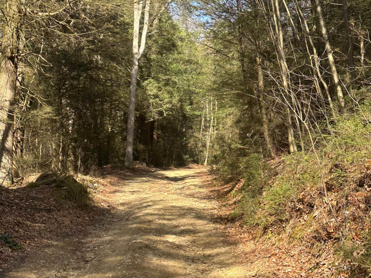 Biesecker Gap photo 4