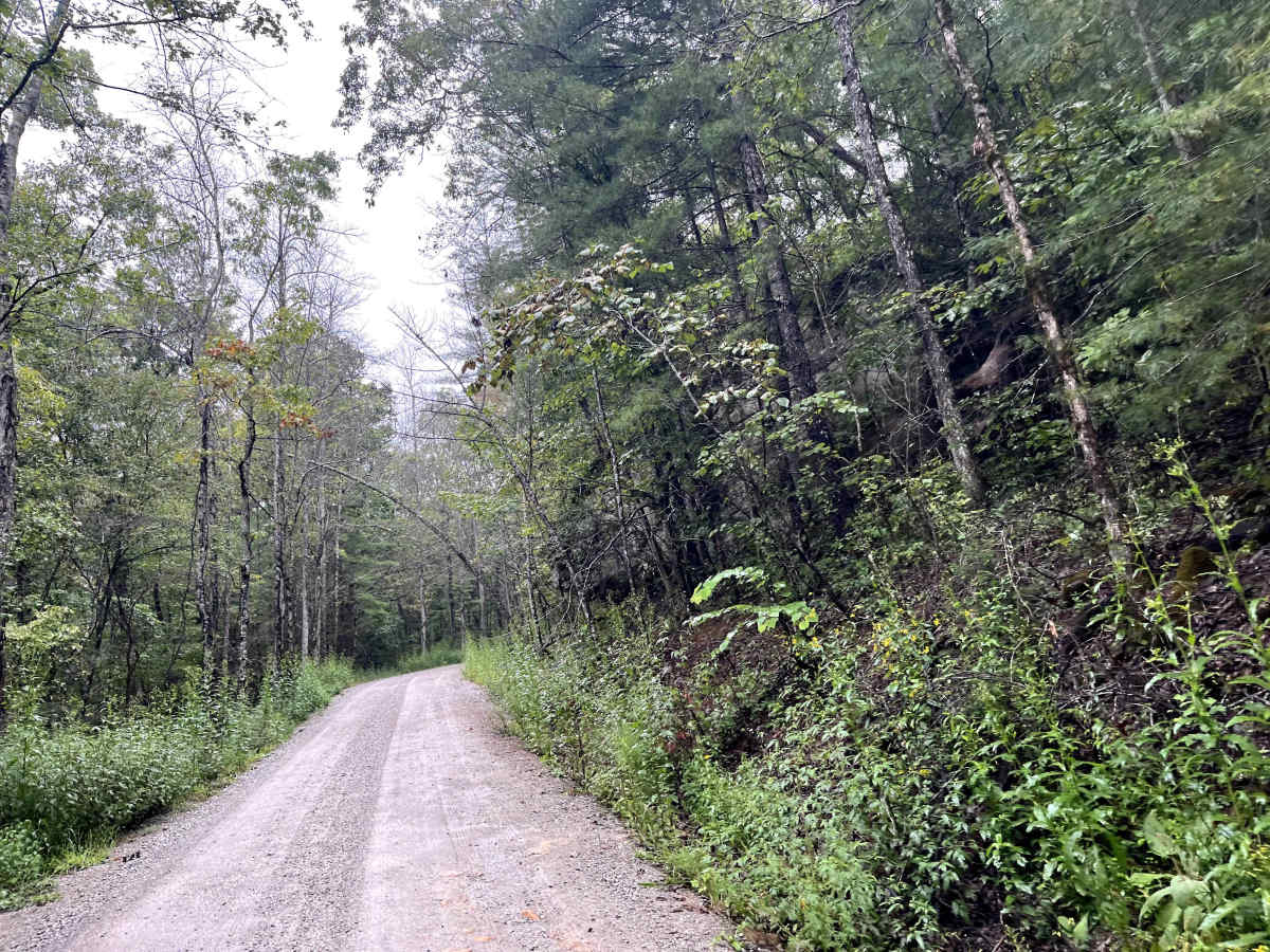 Potters Ford Road photo 5