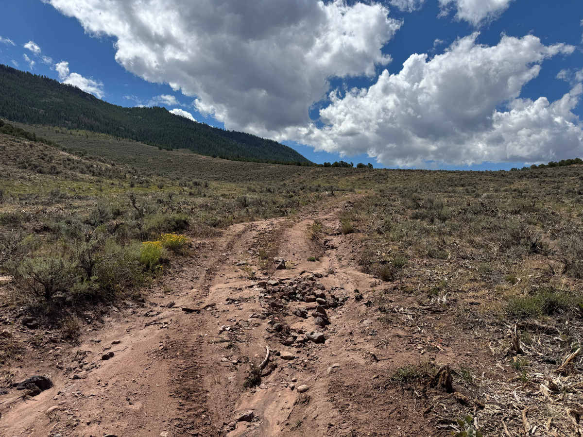 BLM 8634 photo 5