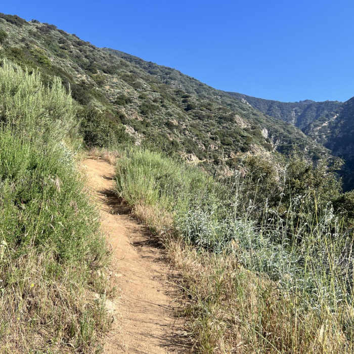 Near Jones Peak Plus Hastings Loop