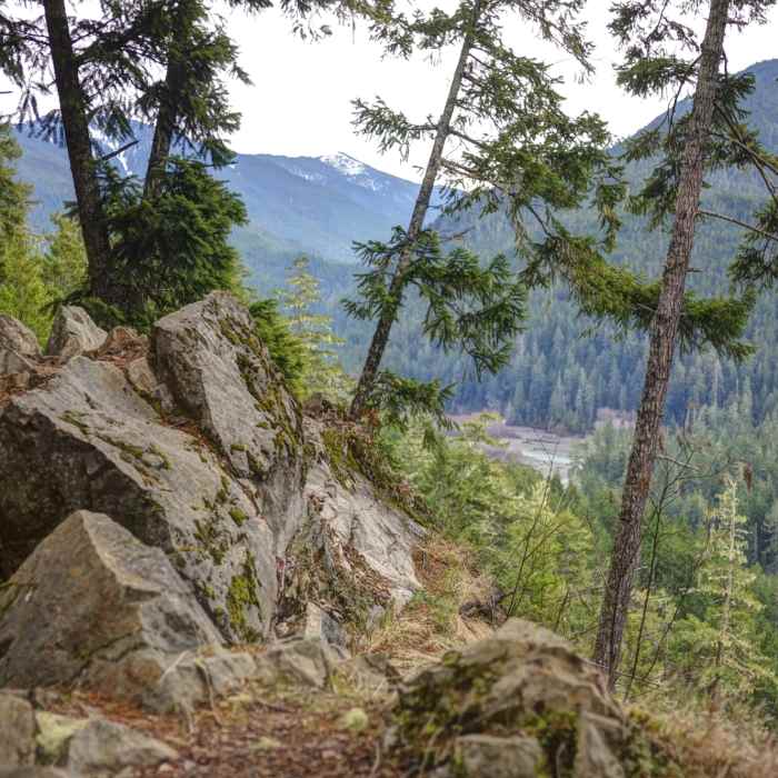 Near Elwha River Trail