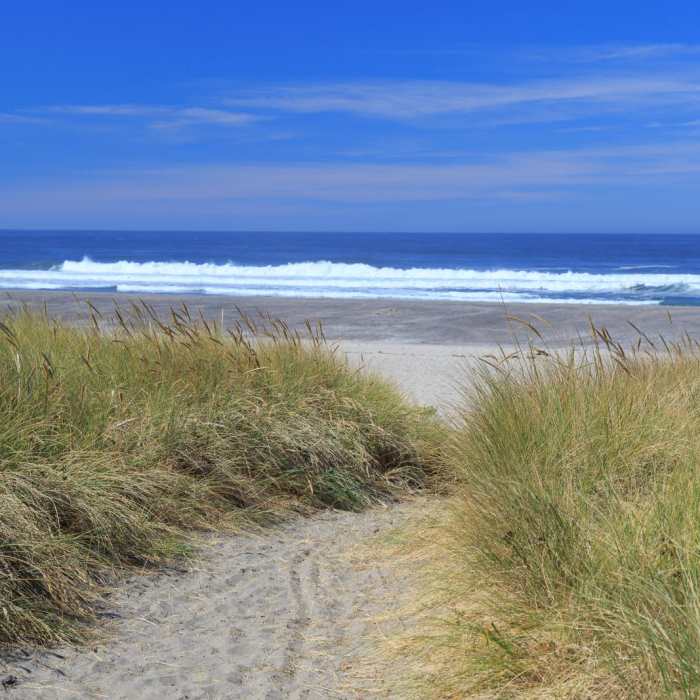 Near Oregon Coast Trail Section 4