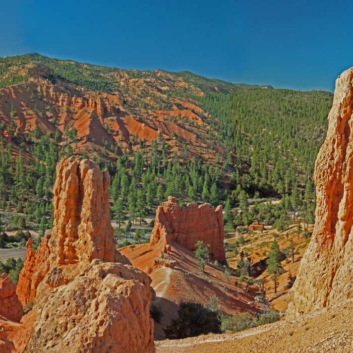 Near Photo Trail