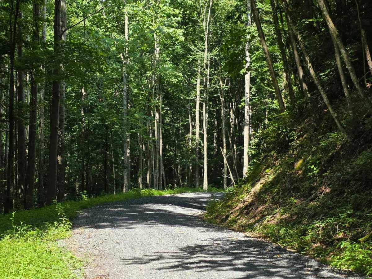 Middle Road photo 4