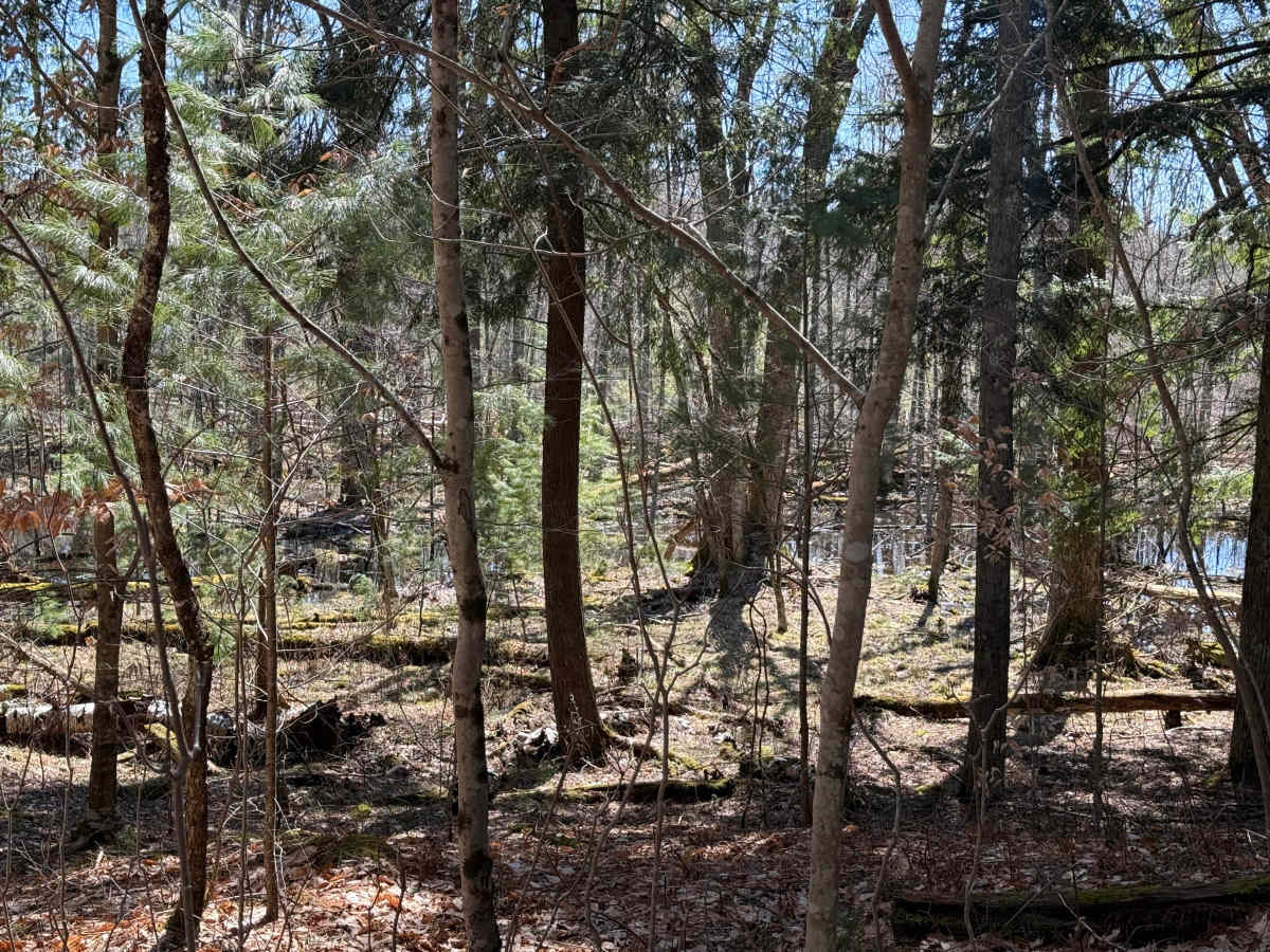 FS 5096 photo 5