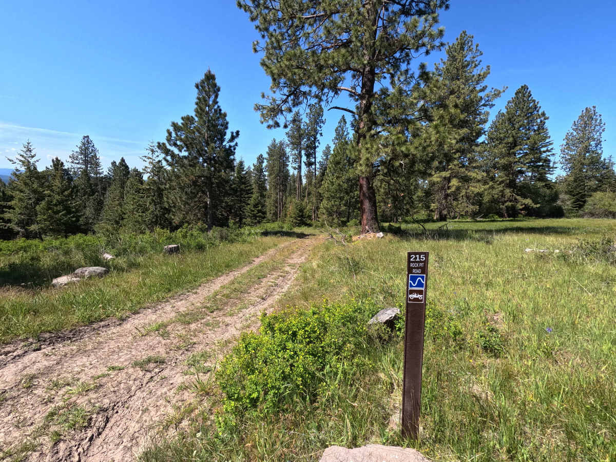 Rock Pit Road - Trail 215 trail photo