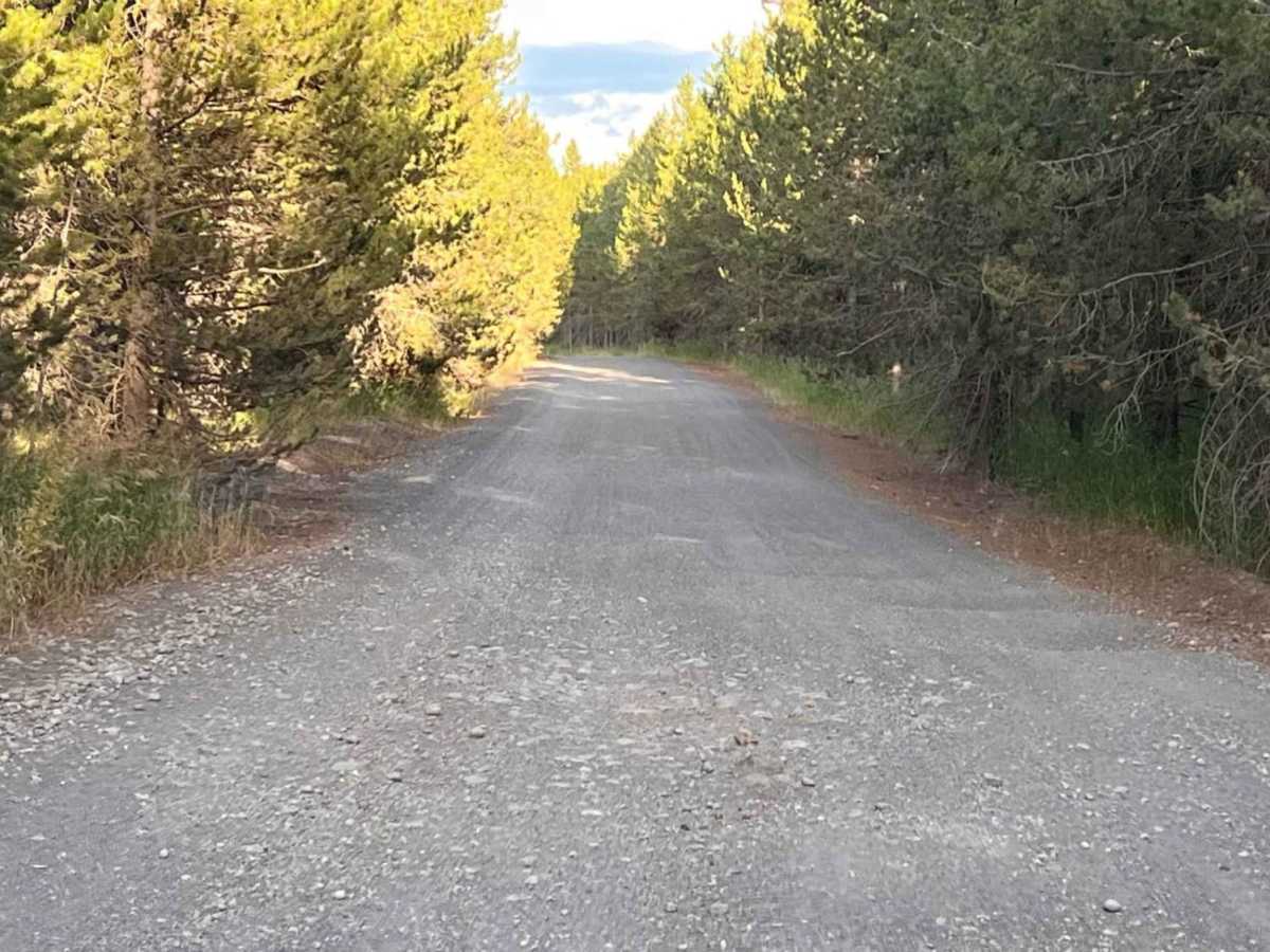 Butterfly Loop photo 6