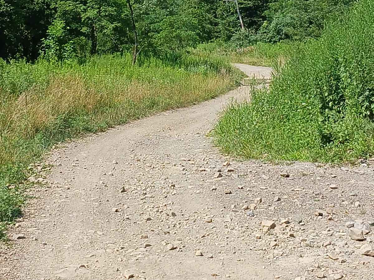 Lower Terrace Road - Rock Run Recreation Area photo 6