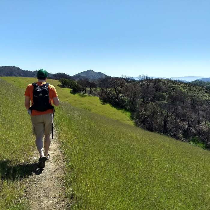 Near Vista Loop Trail