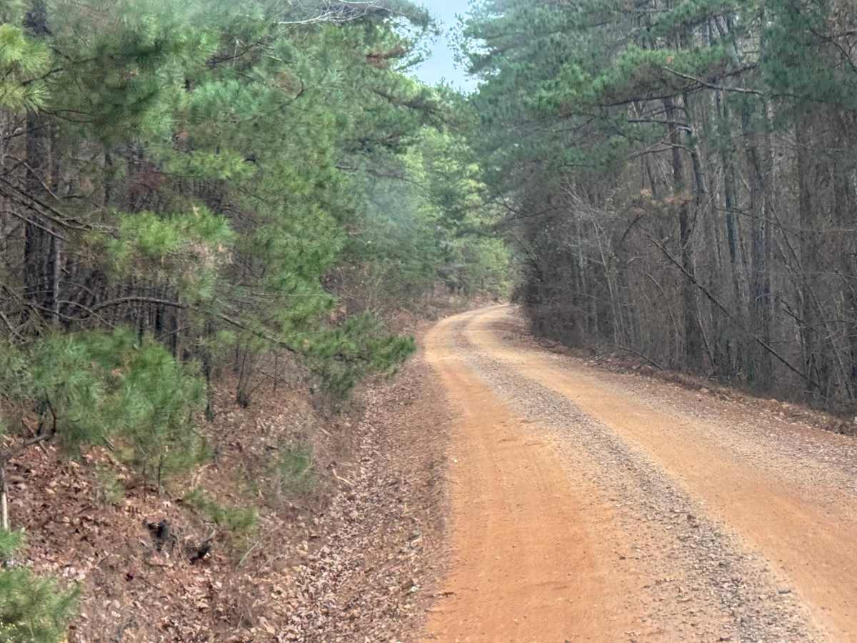 North Fork Road/Trail 86 photo 5