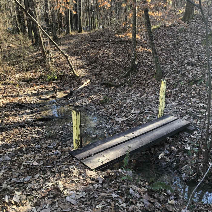 Trail creek Near Oak Mountain 20 Miler