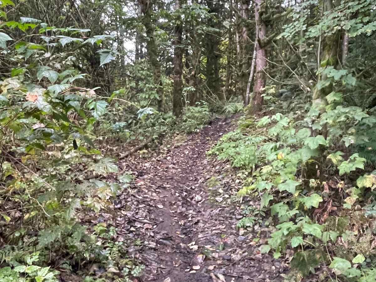 Trials Zone Connector photo 3