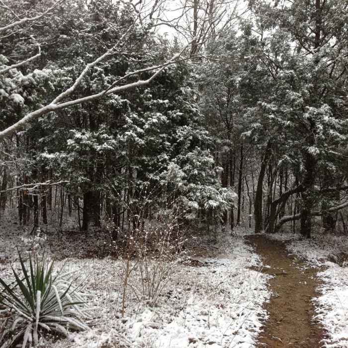 Near Arrowhead Trail