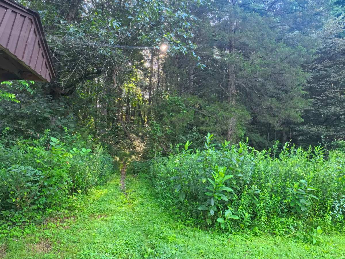 Colerain Road photo 3