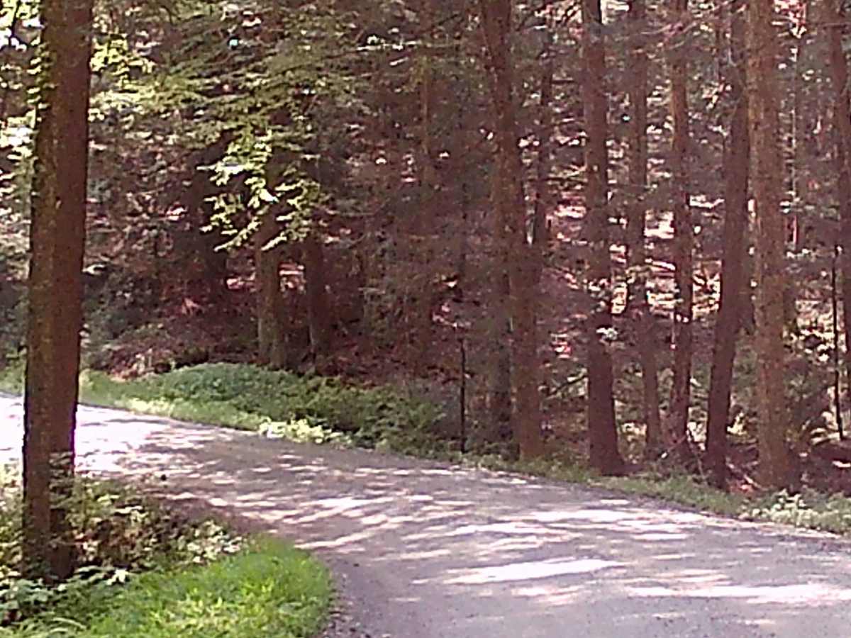 Stover Gap Road photo 3