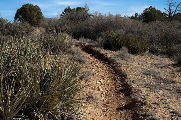 Hualapai Singletrack