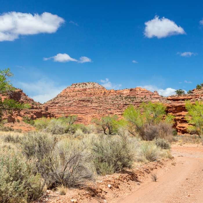 Near Horse Canyon Road