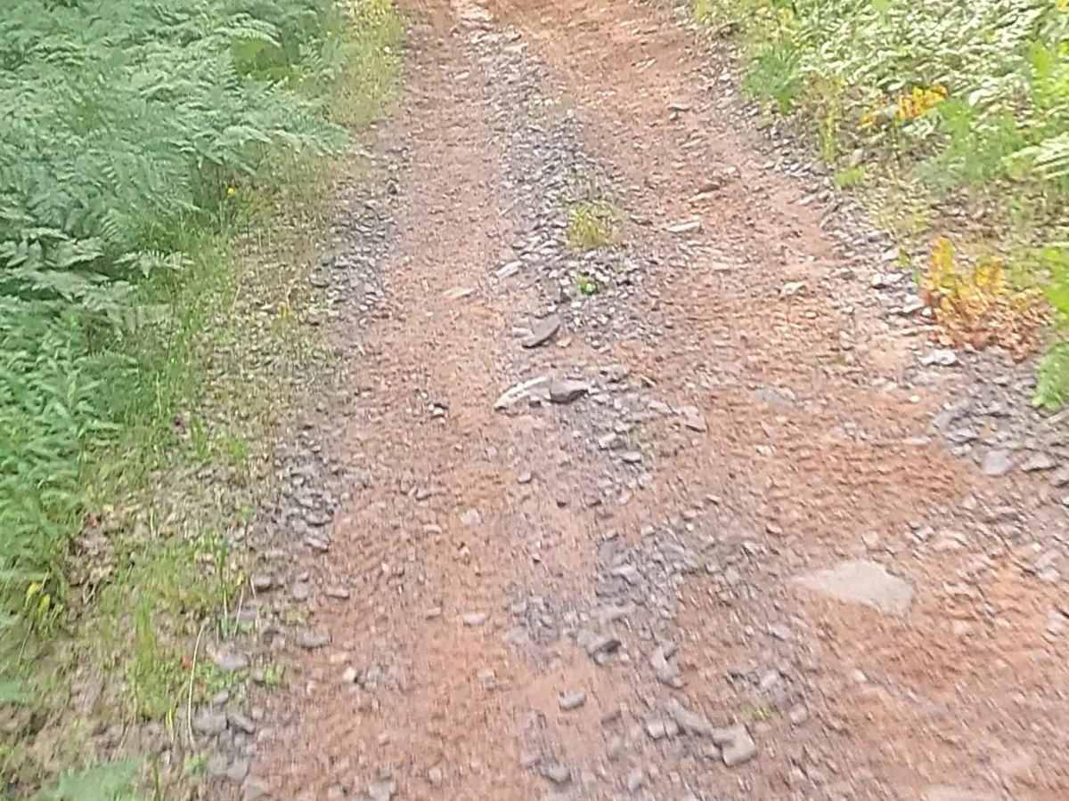 Aetna Mine Road photo 5