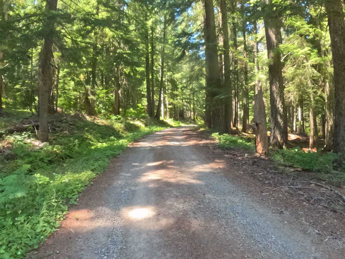 Scar Mountain Road - FS 2266310 photo 3