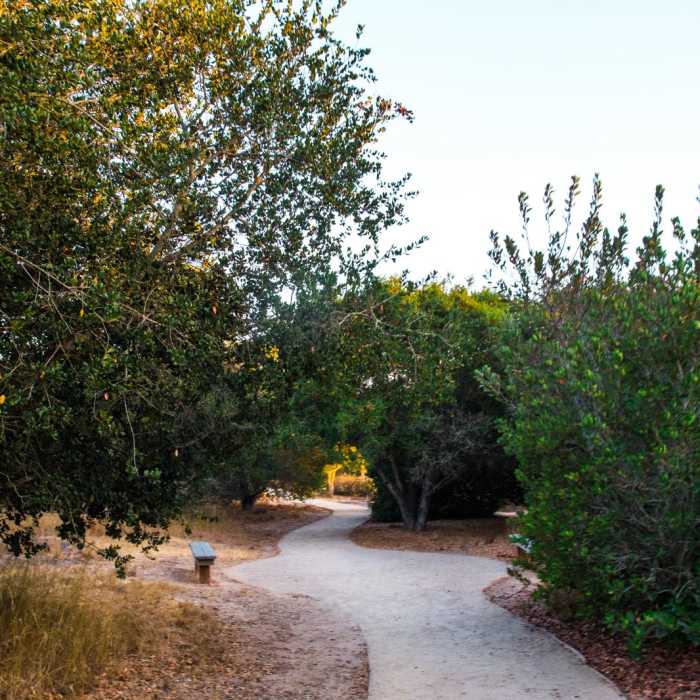 Near Nipomo Native Garden Loop Near Nipomo Native Garden Loop