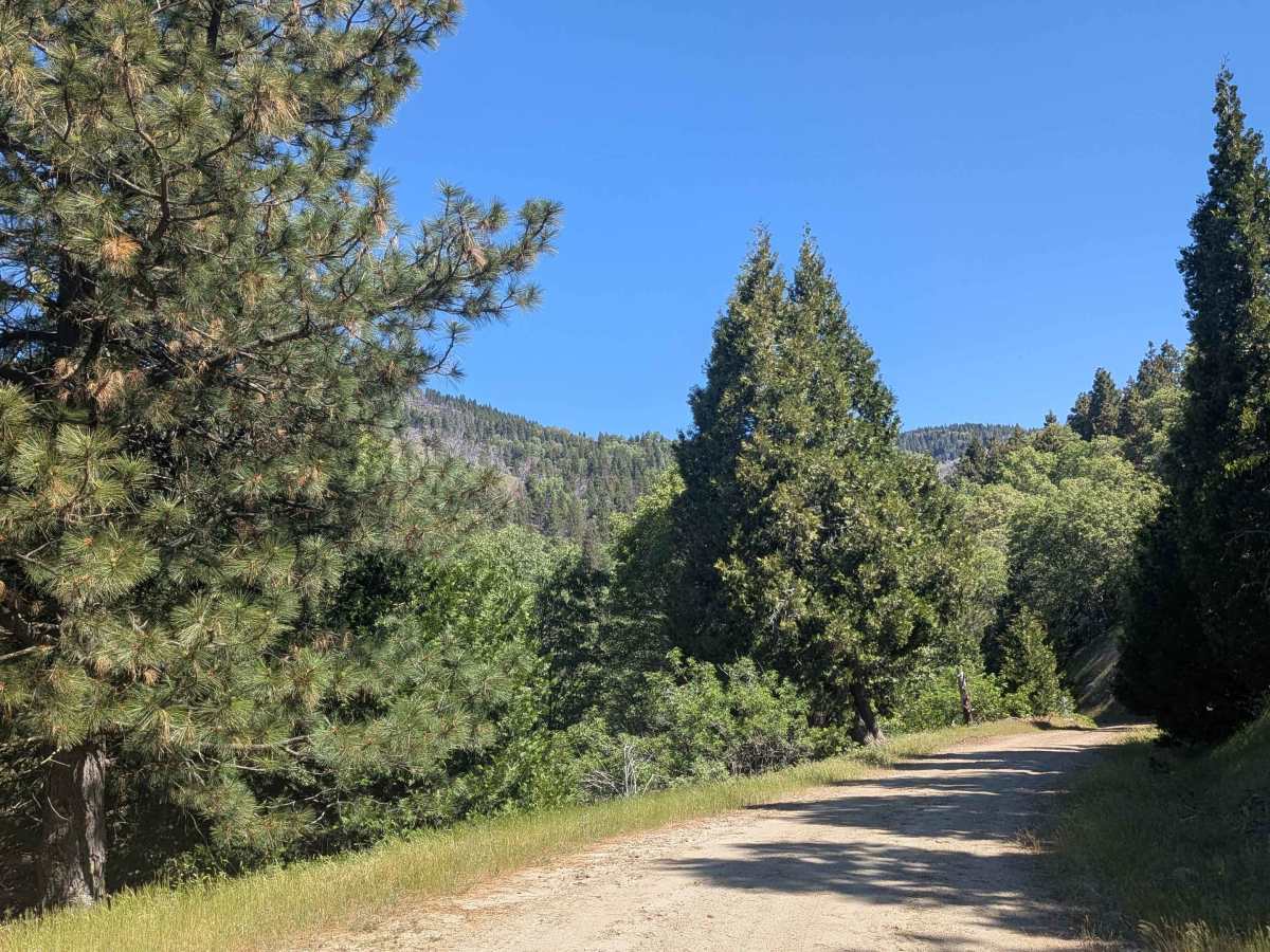 Basket Pass - FS 26S05 trail photo
