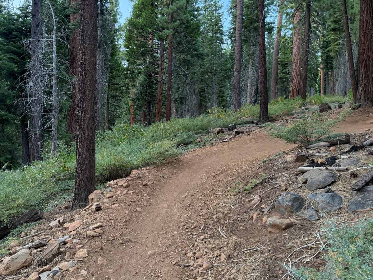 Beaver Tail Trail (Upper) photo 3