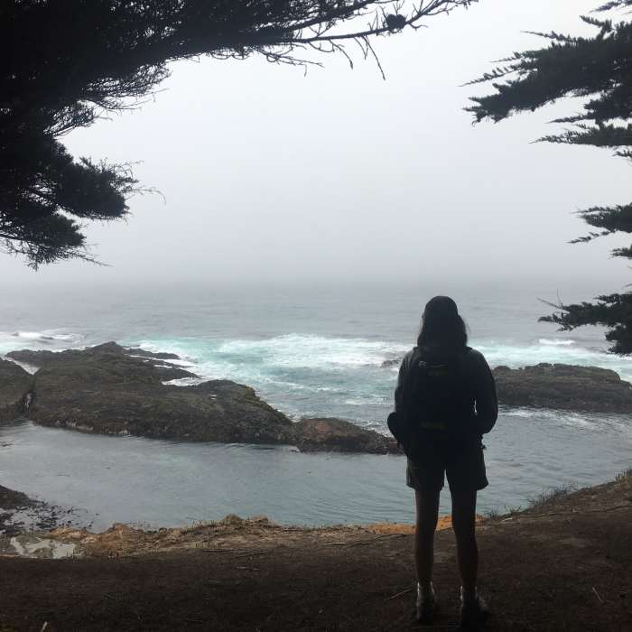 Near Little River to Mendocino: Inn to Inn