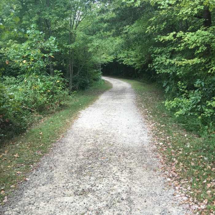 Unpaved section of trail (service road). Trail is in great shape. Easy walking/running. Near South Run - Mercer Lake Loop Route