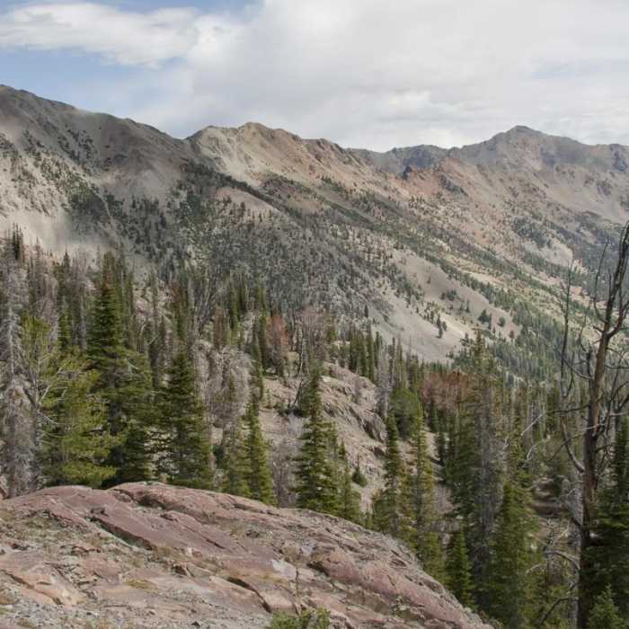 Near North Fork of the Big Wood