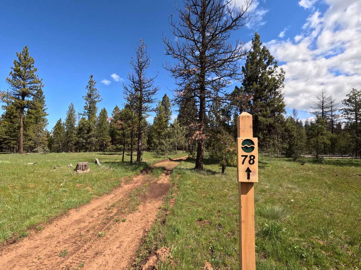 Trail 78 photo 5