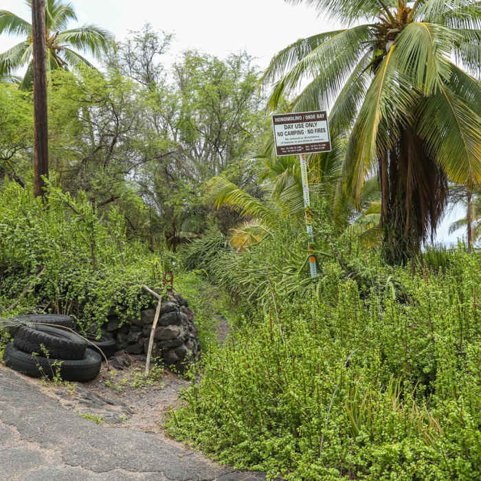Near Honomalino Bay Trail Near Honomalino Bay Trail
