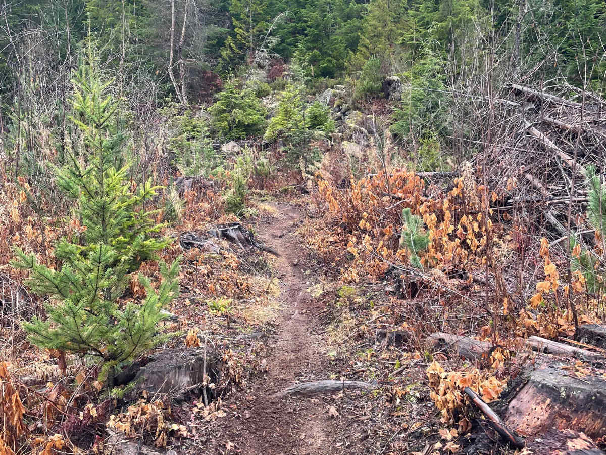 Less Sticks photo 6