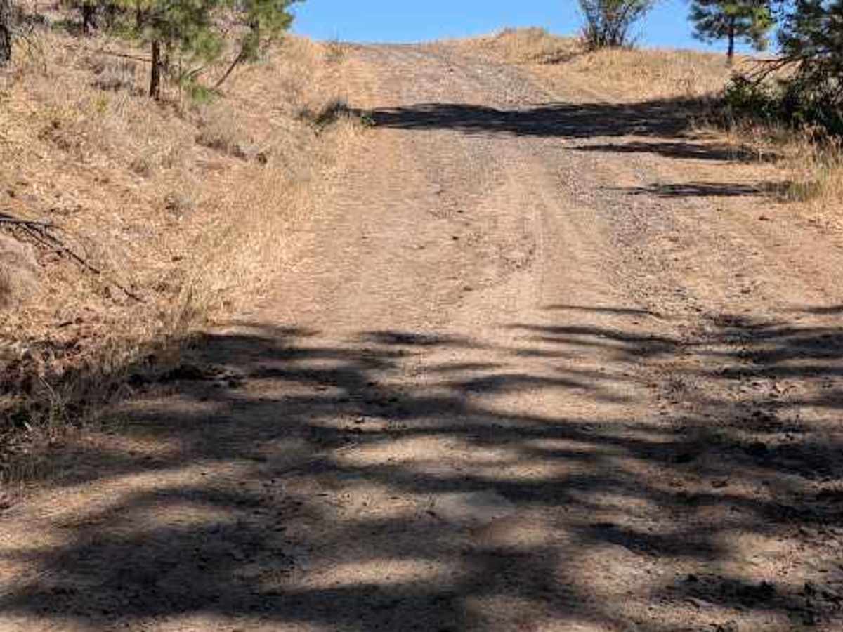 Ingersoll Road photo 6