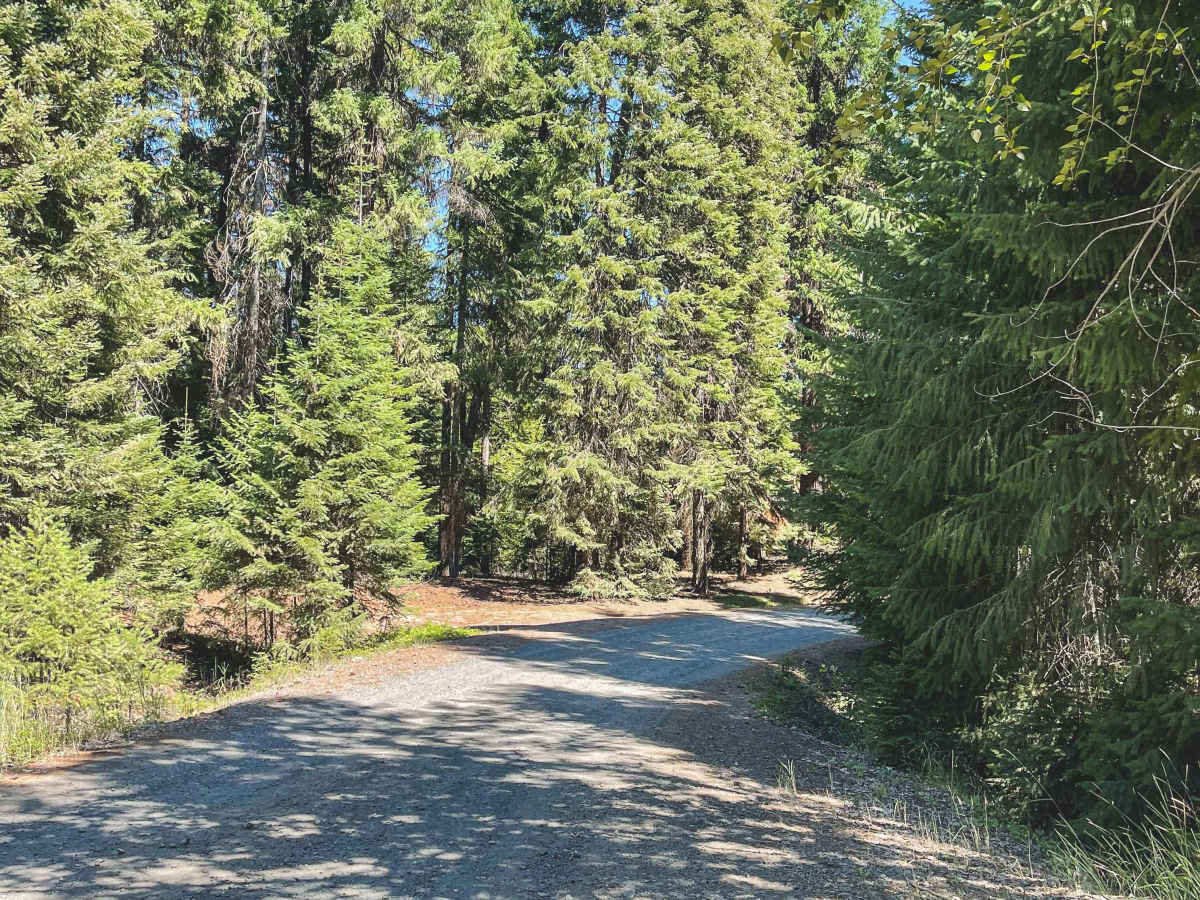 Swamp Creek Trail photo 5