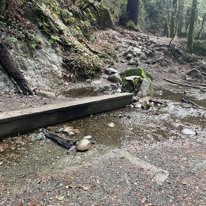 Near Saratoga to the Sea: Saratoga Quarry Park to Sanborn Park