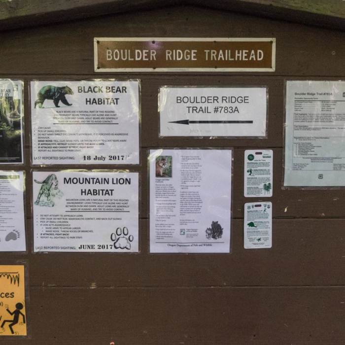 Near Huckleberry Mountain via Boulder Ridge