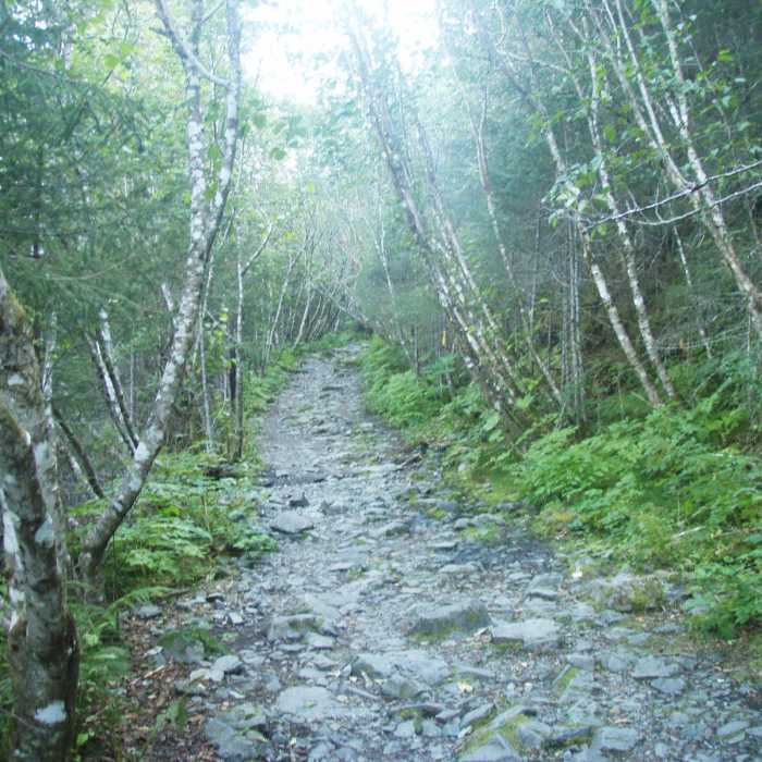 Near Tonsina Beach Hike