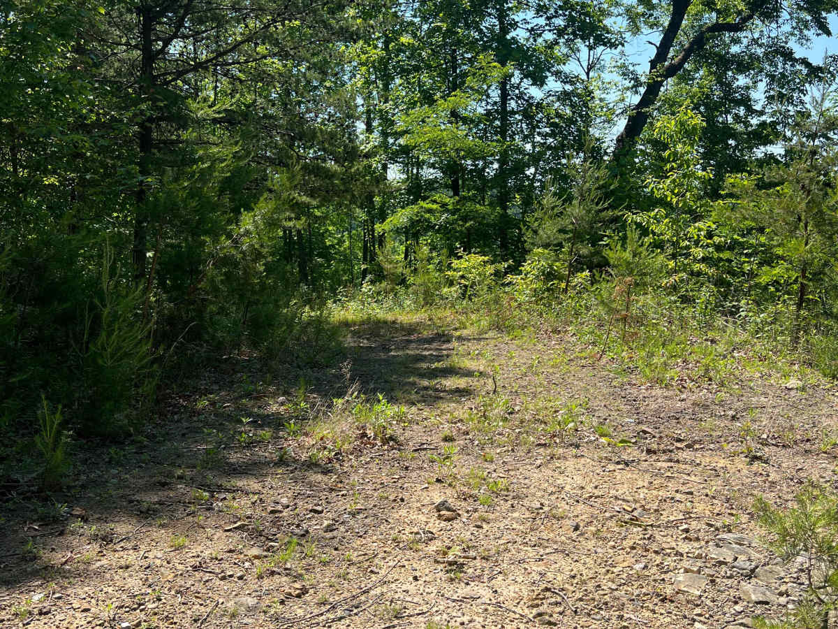 KC19 photo 3