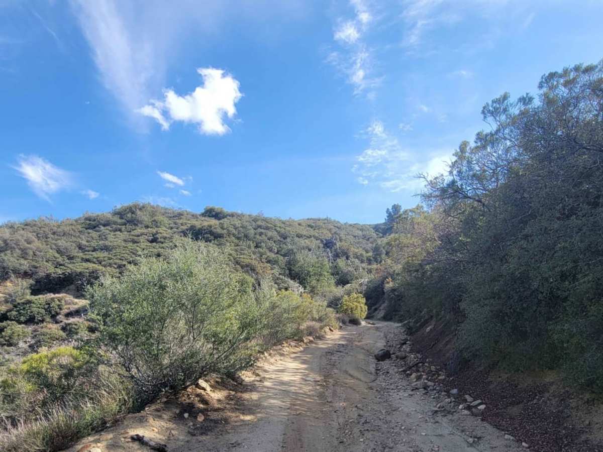 8S05 - North Palomar Mountain Road photo 6