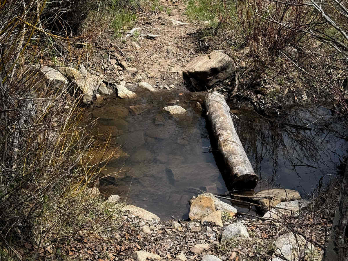 Trust Lands Singletrack (South)  photo 4