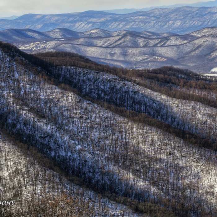 A winter afternoon view from Timber Hollow Overlook in the Central District . Near Whiteoak Canyon - Hawksbill Summit Loop
