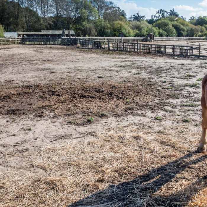 Near Cowboy Hiking Trail