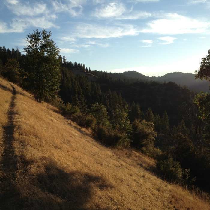 Near Little Grayback Trail #921