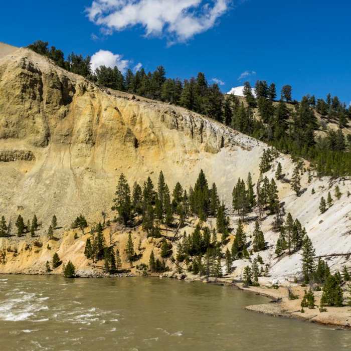 Near Tower Fall Trail