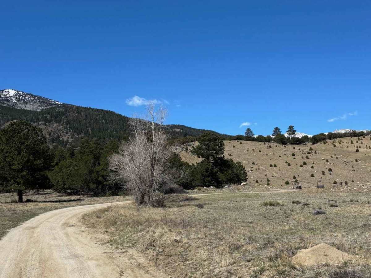 Red Deer Road trail photo