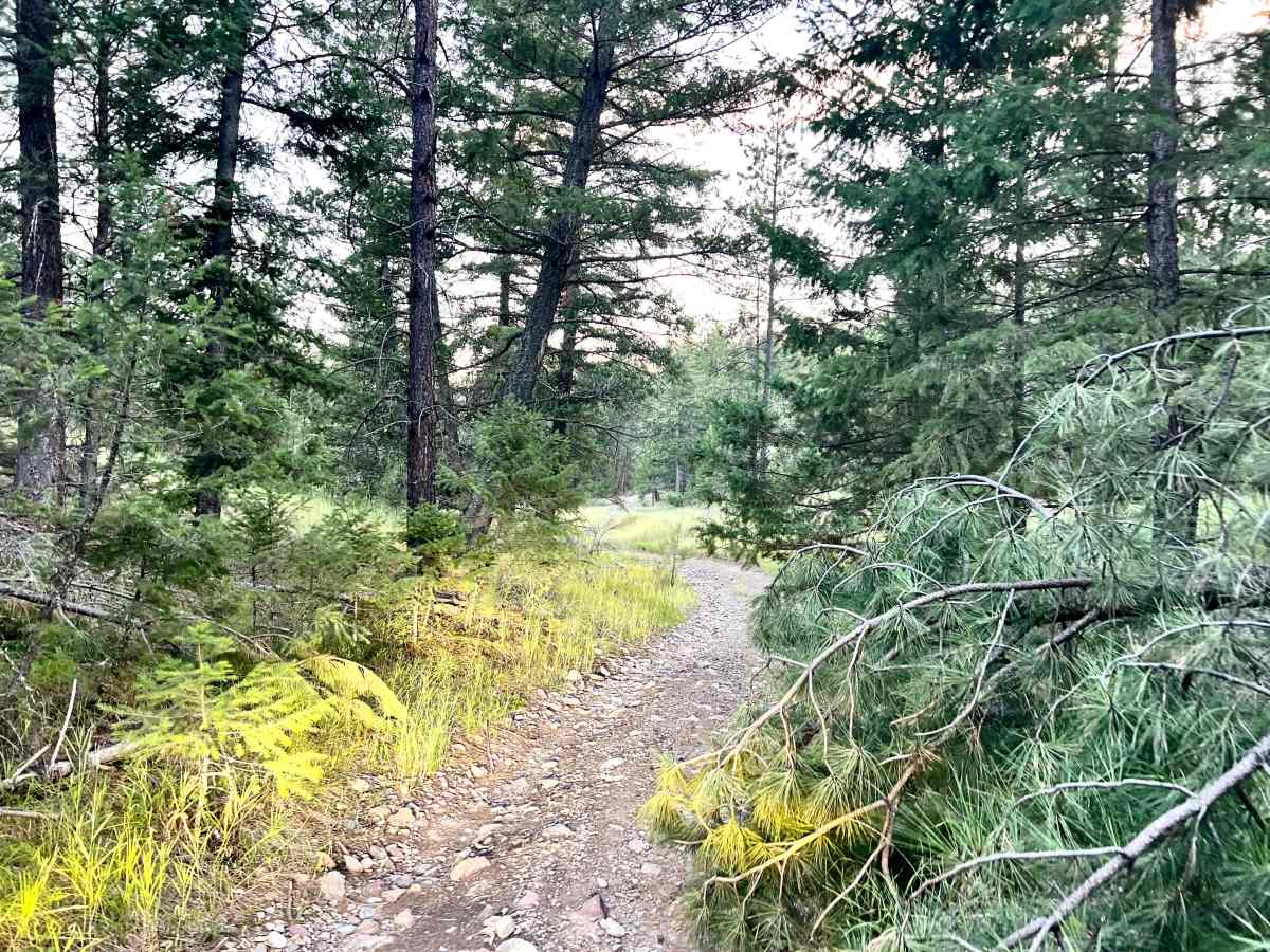 Grasmere Dorr Central 4WD Trail photo 4
