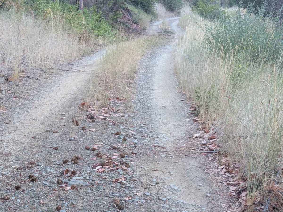 McFarland Ridge Road - FS 29N25 photo 6