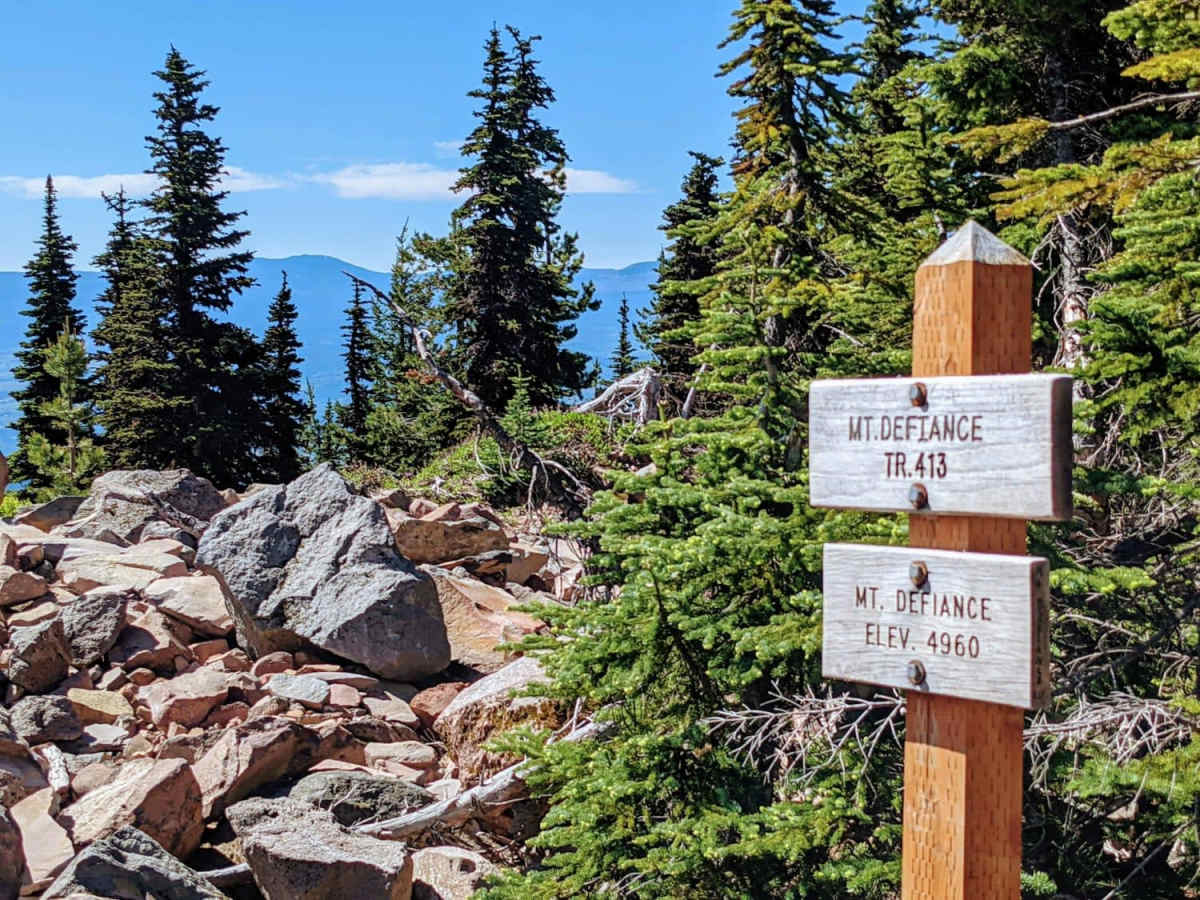 Mount Defiance - NF 2821000 photo 5